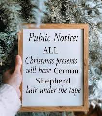 The Beauty of German Shepherds