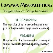 Vegan Vs Vegetarian The Debate Explained Vegetarian Vs Vegan Vegetarian Anti Vegan