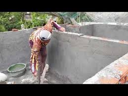 Cara Membuat Kolam Lahan Sempit Teras Rumah Agar Hasil Panin Memuaskan Youtube Lahan Cara Bikins