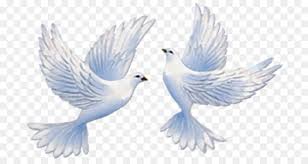 If you are a graphic designer advertisiser, website designer or web developer, then you can easily get benefit from this site. Wedding Invitation Background