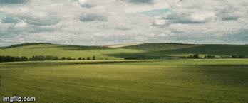 We did not find results for: Final New