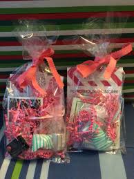 Mary Kay Appointment Goodie Bags For Customers Mary Kay Holiday Mary Kay Christmas Mary Kay Party Themes