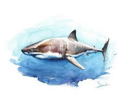 Shark Art Print Great White Shark Painting Shark Print Etsy Shark Painting Shark Art Watercolor Ocean