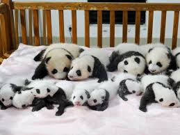 Jun 04, 2021 · majorările din luna mai cu privire la produsele alimentare nu se opresc aici. Cel Mai Bun Job Din Lume Se Fac Angajari Castigi Peste 30 000 De Dolari An Si Practic Nu Faci Nimic Incont Stirileprotv Ro