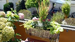 Ein japanischer garten ist immer schlicht gestaltet. Roter Farbtupfer Ein Pflanztipp Fur Den Balkon Im Herbst