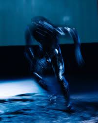 Bildergebnis für Joshua Serafin