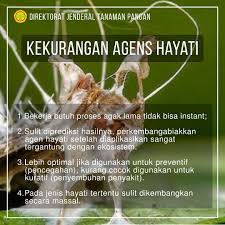 Harga agen hayati rp 40.000 karena bangsa yang maju adalah bangsa yang dipenuhi oleh warganya yang pintar. Agens Direktorat Jenderal Tanaman Pangan Kementan Ri Facebook