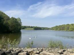 Image result for roundhay