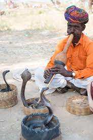 Digressions Snake Charmer Charmer Agra India