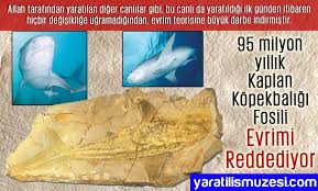 Yaratilis Atlasi Goruntuler Ile Fosiller Evrim Kitap