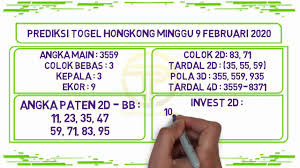 Semua pemain sudah bisa mendapatkannya dihalaman ini, setiap ingin. Prediksi Hk Malam Ini Minggu 9 Februari 2020 Youtube