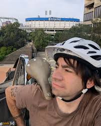 Seth Hershey (@sethhershey) • Instagram photos and videos