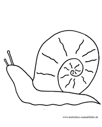 Kostenlose Ausmalbilder Ausmalbild Schnecke