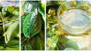 Antara khasiat air rebusan lemon, serai dan halia ini ialah. 4 Air Rebusan Ni Rahsia Nak Cantik Mantap Untuk Wanita Yang Bersuami Petua Mudah Guna Bahan Dapur Jer Keluarga Limau Madu Press