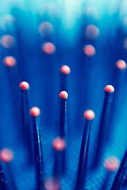 40 Macro Photography Ideas At Home Photography Ideas At Home Macro Photography Abstract Texture Photography