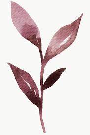 Download Premium Png Of Hand Painted Purple Watercolor Leaf Transparent Purple Watercolor Watercolor Leaves Flower Illustration
