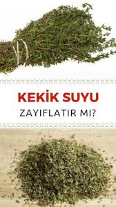Kekik Suyu Faydalari Ile Bir Mucize Agiz Bakimi Acik Yaralar Yuksek Tansiyon Ve Mide Agrisi Gibi Pek Cok Rahatsizligi Ted Sifali Otlar Dogal Tedaviler Bitki