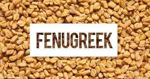 Read more about fenugreek and its potential for health. What Are The Benefits Of Soaking Fenugreek Seeds Overnight In Water Quora