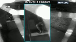 Libby squire, 21, was last seen taking a cab from a nightclub libby was reported missing after leaving the welly club in hull around 11pm on thursday, january. Libby Squire Cctv Emerges Of Car Minutes After Last Sighting Of Missing Hull Student Huffpost Uk