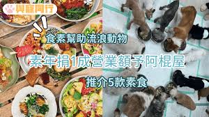 食素幫助流浪動物 素年太古店捐本周營業額10%予阿棍屋推薦5款熱賣素食