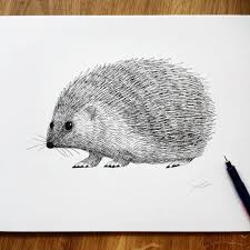 Love Objects On Instagram This Hedgehog Is Quite Interesting I Tried To Draw It With Almost No Outlines I Hope You Enjoy Drawings Outline Art Line Drawing