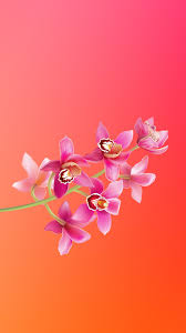 Wallpapers Iphone 8 Plus Pack 8 Fond Ecran Iphone Fond D Ecran Iphone Apple Fond D Ecran Abstrait