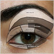 Where To Apply Eyeshadow Eye Makeup Diagram Maquiagem