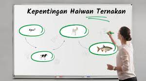 1) membekalkan sumber makanan dan minuman. Kepentingan Haiwan Ternakan Sumber Makanan Kepada Manusia By Haffiqah Aina Othman