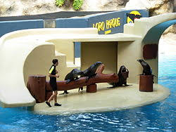 Resultado de imagen de imagenes de loro parque