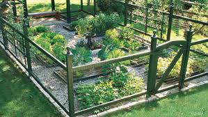 Is your garden a plot in the yard or a raised bed? Grow A Healthy Vegetable Garden This Old House