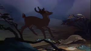 Many dogs will carry out their purpose to the death. Bambi Dogs Man Shefalitayal