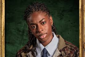 Dave Bibby BA (Hons)