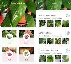 Plantnet plant identification otherwise known just as plantnet is an android app that describes itself as being an image sharing and retrieval application for the identification of plants. 9 Best Free Plant Identification Apps For Android Ios 2021