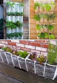 Si tienes un balcón, terraza, o cualquier otro sitio donde te apetezca colgar una bonita cesta o maceta y llenarla de vida, te interesará saber cuáles son las plantas colgantes de exterior. 5 Ideas Para Tener Un Jardin Colgante En Tu Balcon Plantas