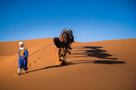 Huge collection, amazing choice, 100+ million high quality, affordable rf and rm images. Morocco Photo Tour 14 Days Of Travel And Photography