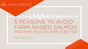 5 Reasons To Avoid Farm Raised Salmon And Why Wild Salmon