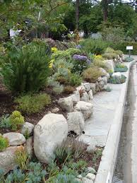 Joshua trees cactus wildflowers and boulders in the. Ca Friendly Design Ideas Roger S Gardens