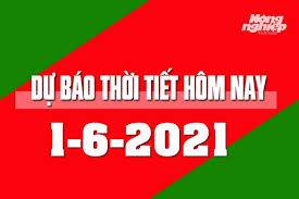 Phát hiện 1.300 thi hài thai nhi được bảo quản trong tủ đông lạnh. Bzmtdyf5svkkhm