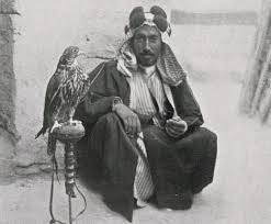 Tags:birds name english to hindi, birds name in hindi, pakshiyon ke naam hindi mein, पक्षियों के नाम. The Baz Nama Yi Naá¹£iri A Persian Treatise On Falconry World Digital Library