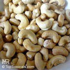 Image result for Anacardium