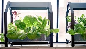 Market Report March 20 2016 Gardenista Sourcebook For Outdoor Living Indoor Gardening Systems Herbs Indoors Gardenista