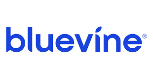 Wave Customers Gain Access to Banking Tools through New Partnership with  Bluevine