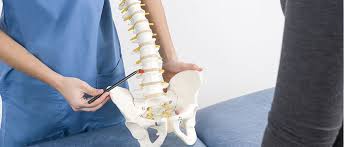 Weimusculoskeletalinstitute.org has been visited by 10k+ users in the past month Herniated Disc Can Cause You Serious Back Pain Fit Pt