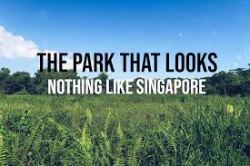 Upper seletar reservoir was formerly known as the seletar reservoir, before the completion of the lower seletar reservoir near nee soon, formed by the damming up of the mouth of seletar river, in 1986. Tampines Eco Green This Hidden Park In The East Looks Nothing Like Singapore