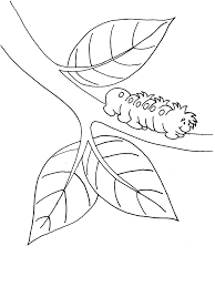 Coloring pages flowers coloring pages football coloring pages fruits and vegetables girls (princesses) coloring pages habitat coloring. Caterpillar Coloring Book Page