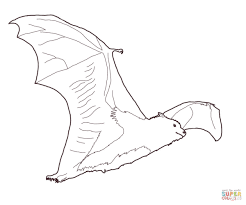 Bat Drawing Template at GetDrawings.com | Free for personal use Bat ...