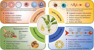 Image result for Targeted Cancer Therapy