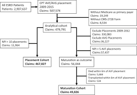 Su questa pagina puoi scaricare questo manuale utente e leggerlo online. Surgeon Characteristics And Dialysis Vascular Access Outcomes In The United States A Retrospective Cohort Study American Journal Of Kidney Diseases
