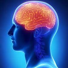 What causes a cerebral aneurysm? Aneurisma Cerebral Medlineplus En Espanol