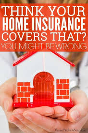 A homeowners insurance policy offers basic protection from the most common disasters. The Events Your Homeowners Policy Won T Pay For Home Insurance Umbrella Insurance Best Health Insurance